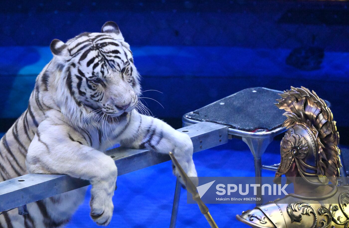 Russia Circus
