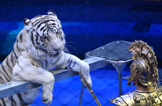 Russia Circus