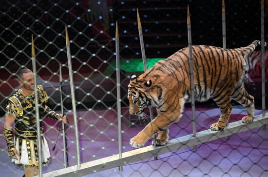 Russia Circus
