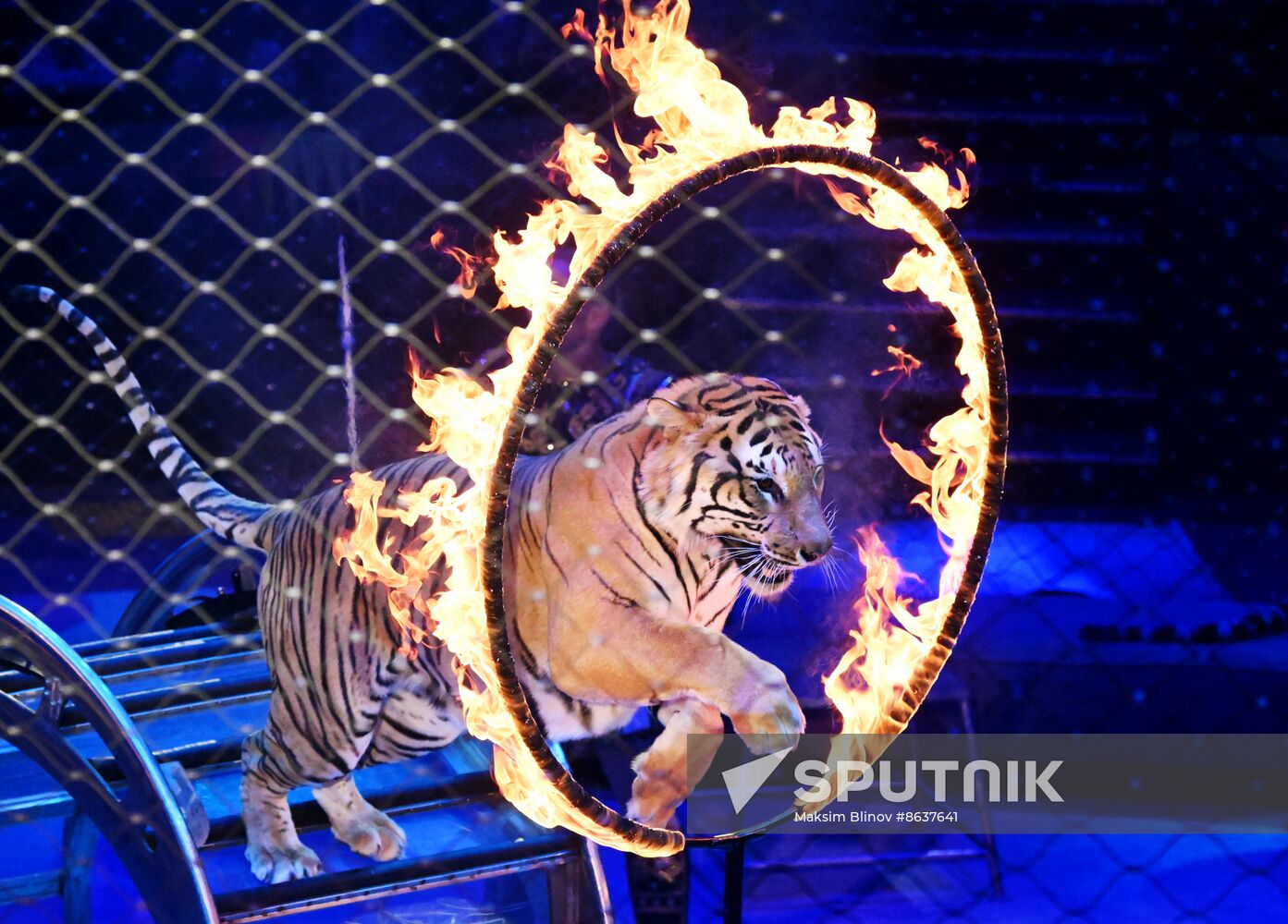 Russia Circus