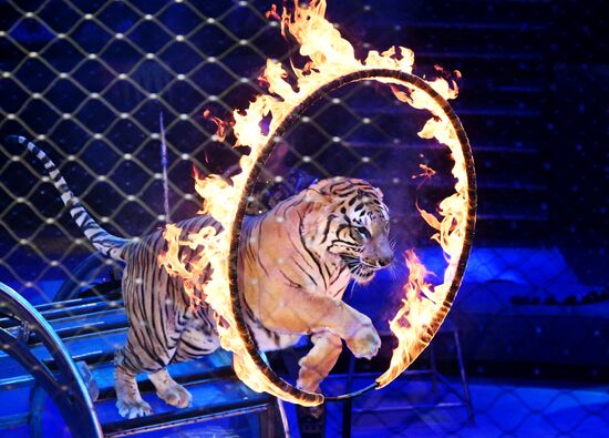 Russia Circus