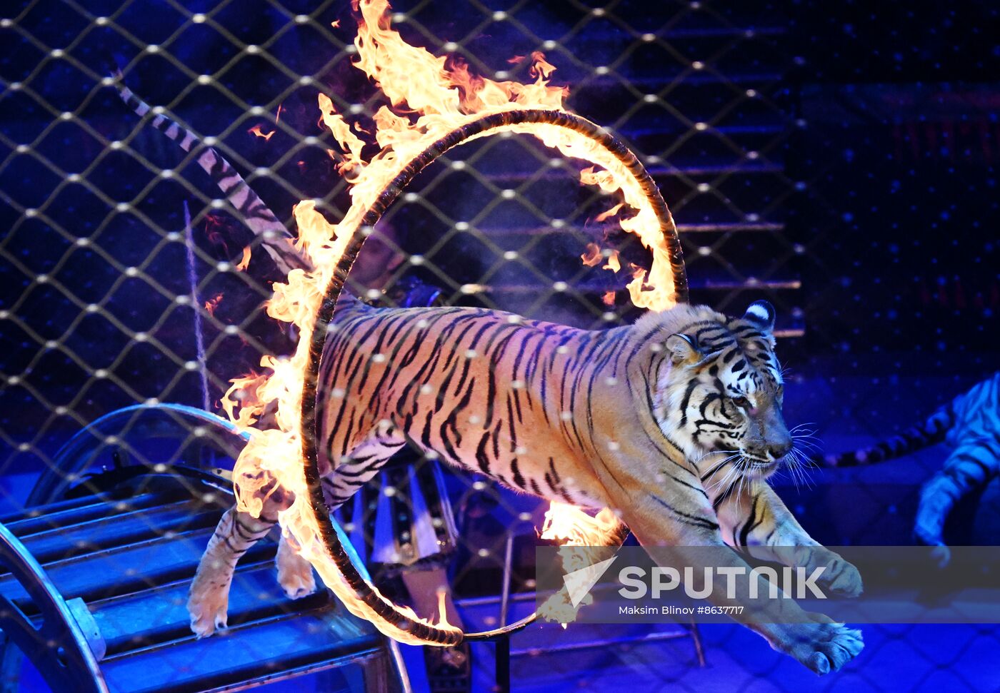 Russia Circus