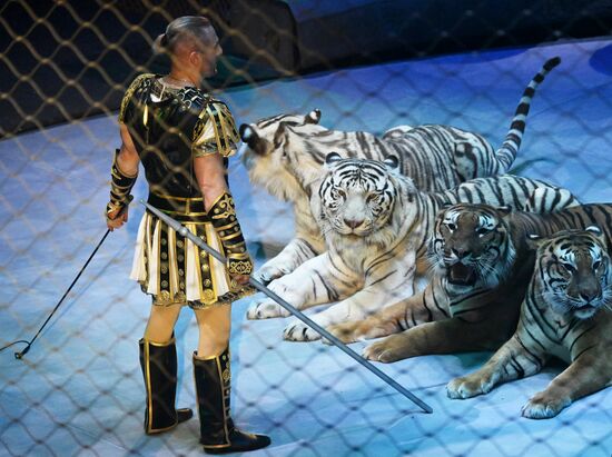 Russia Circus