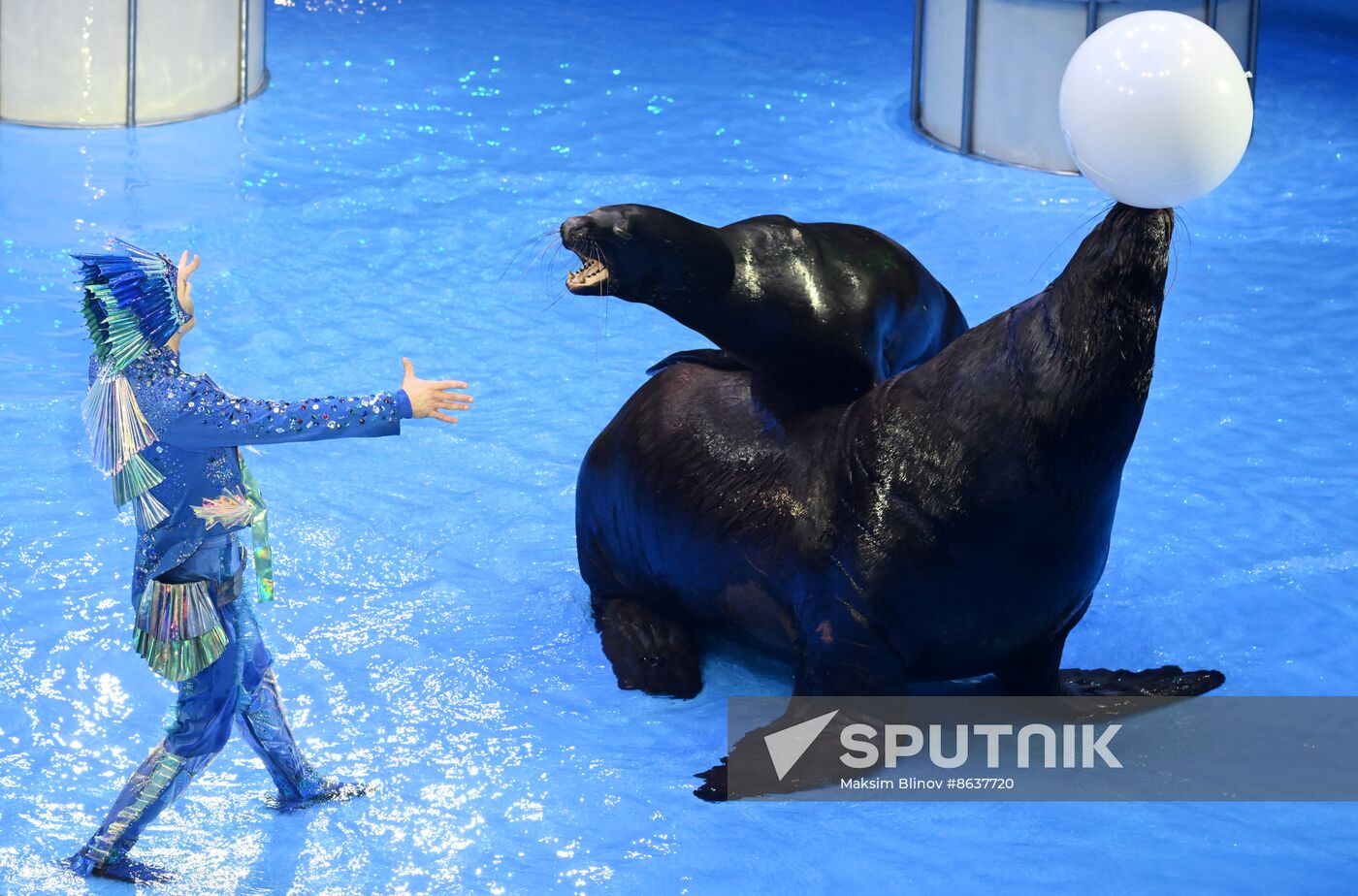 Russia Circus
