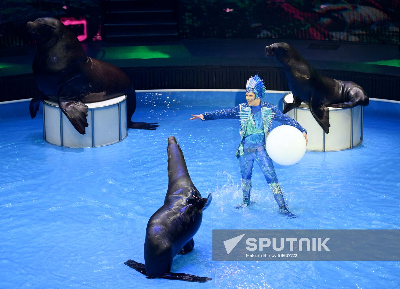 Russia Circus