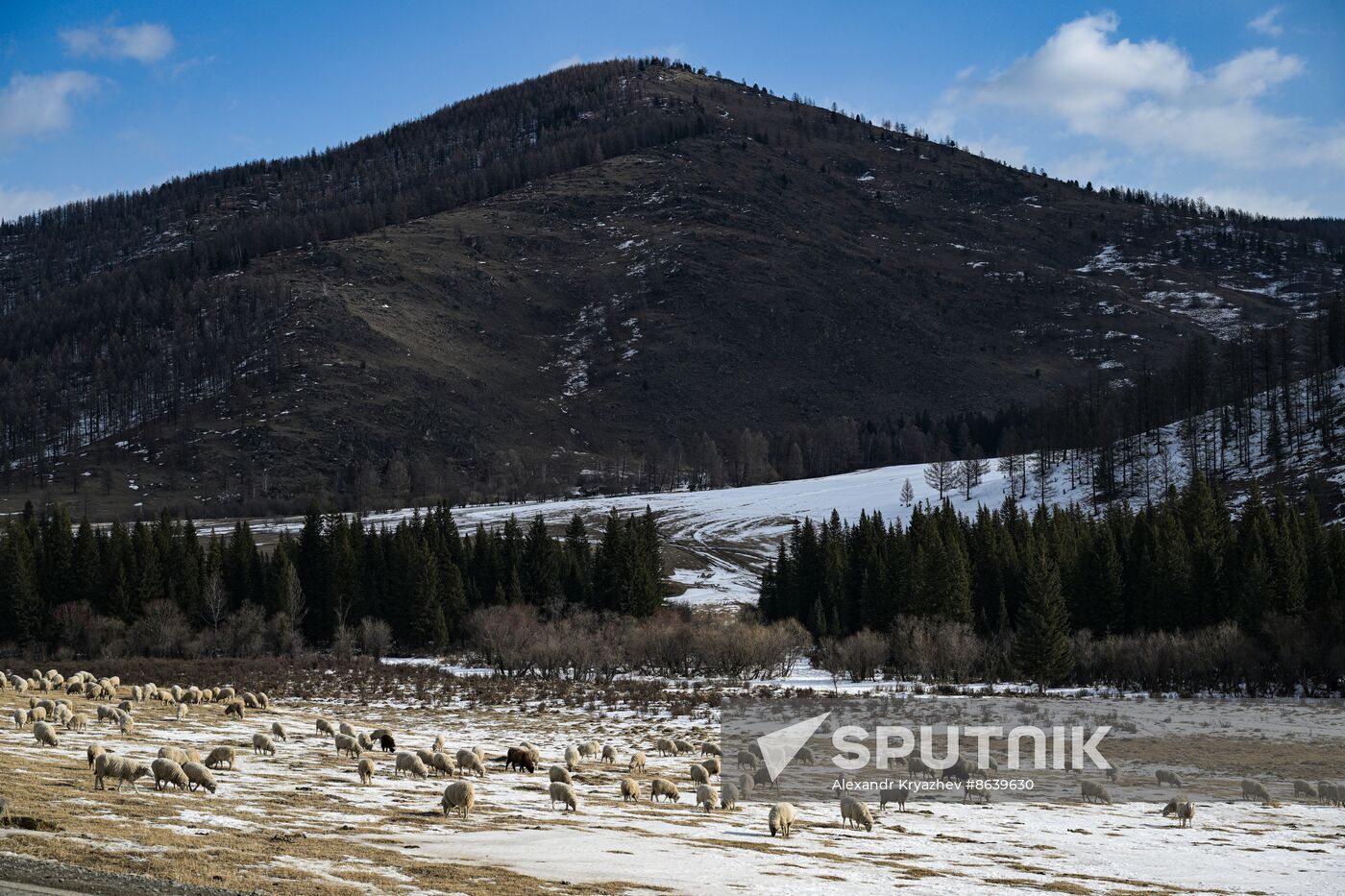 Russia Environment