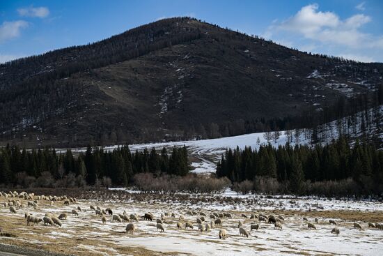 Russia Environment
