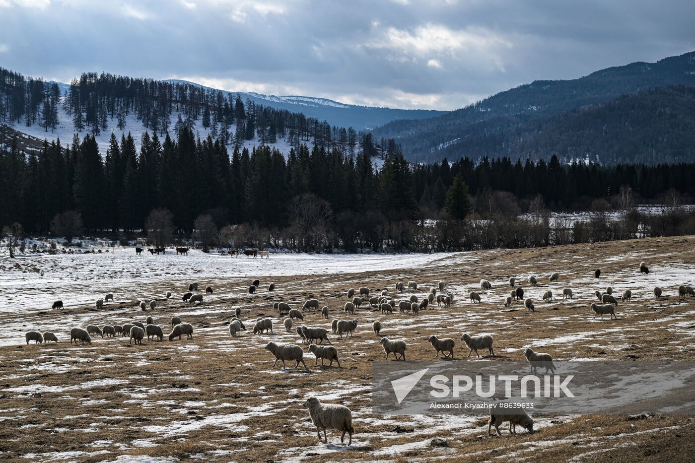Russia Environment