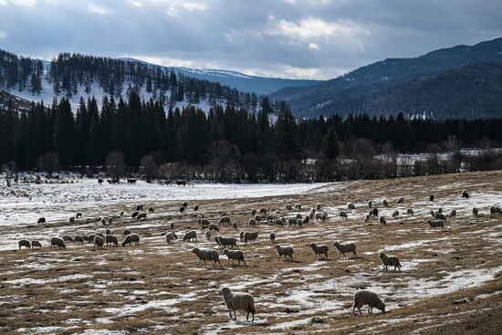 Russia Environment