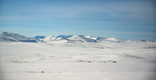 Russia Environment