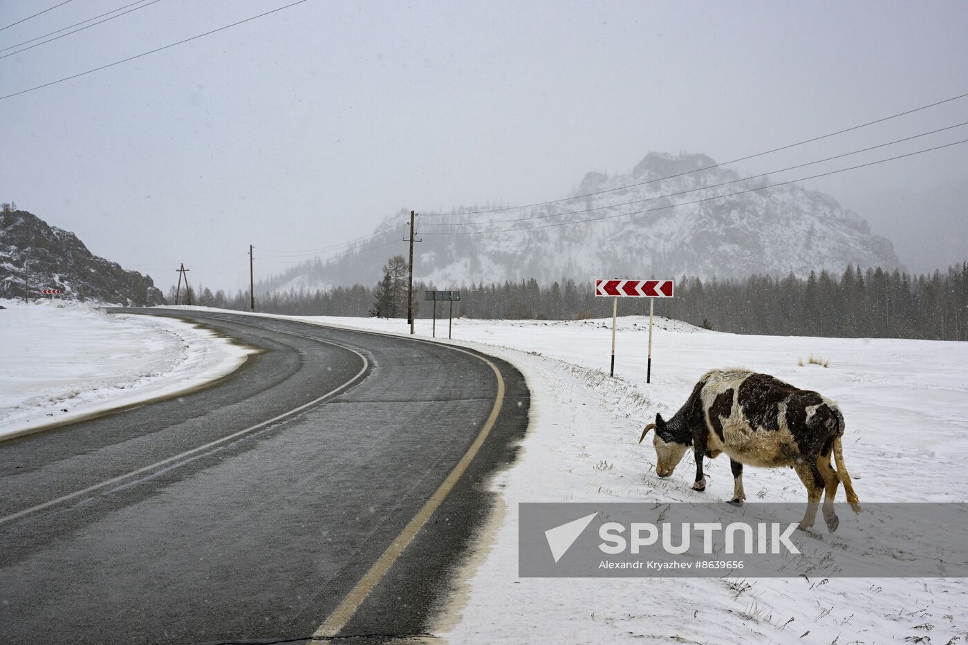 Russia Environment