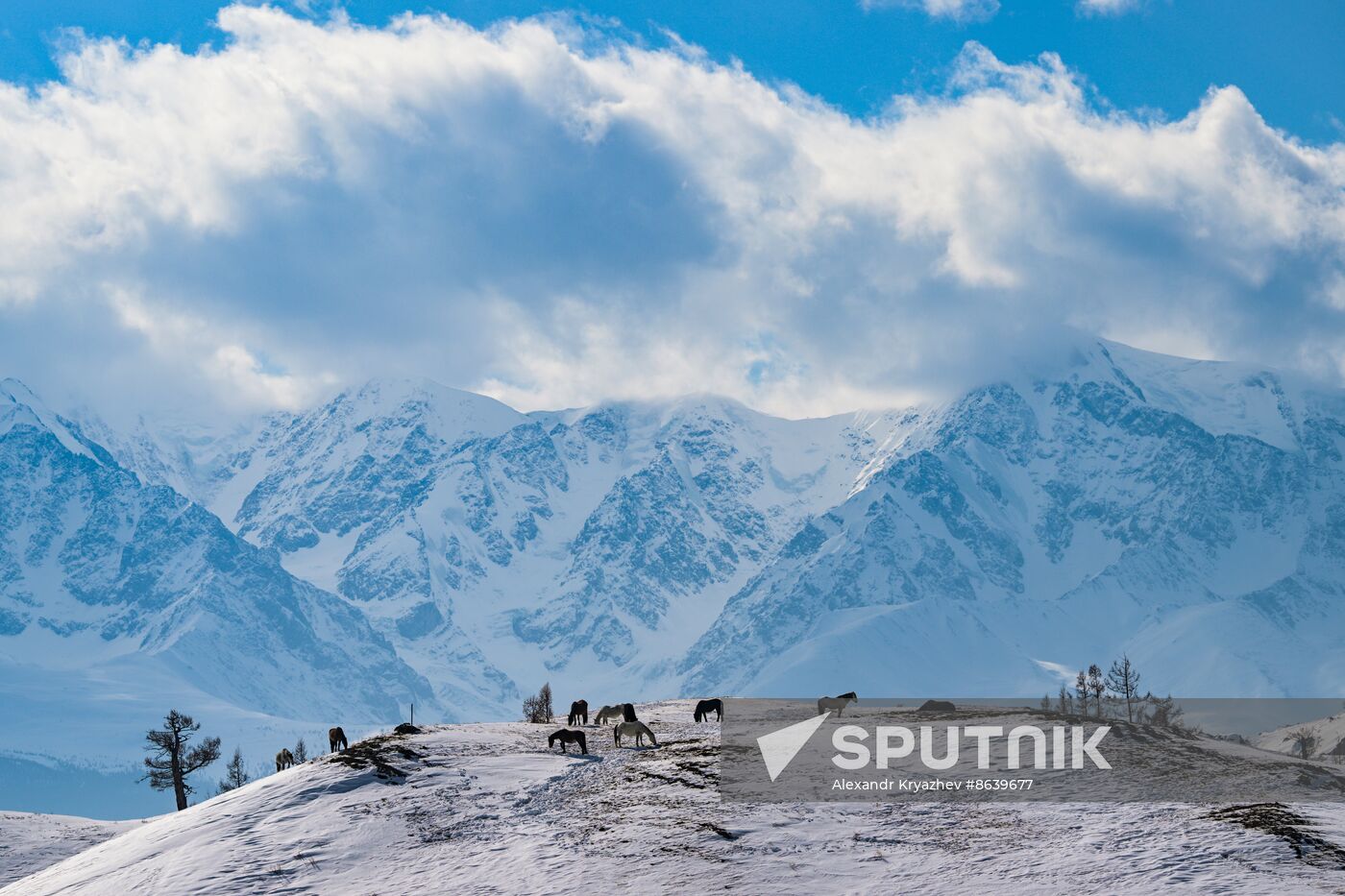 Russia Environment