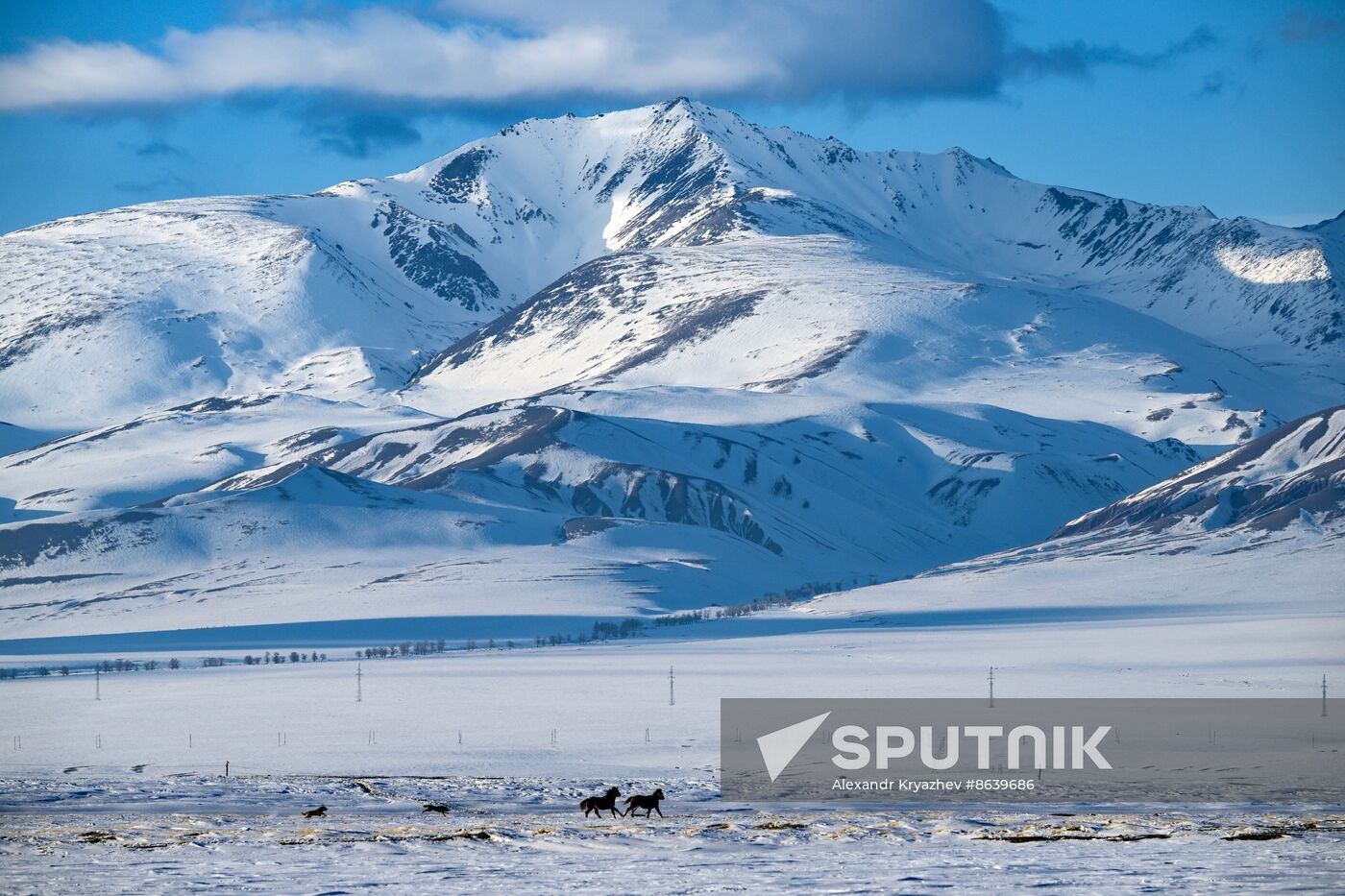 Russia Environment