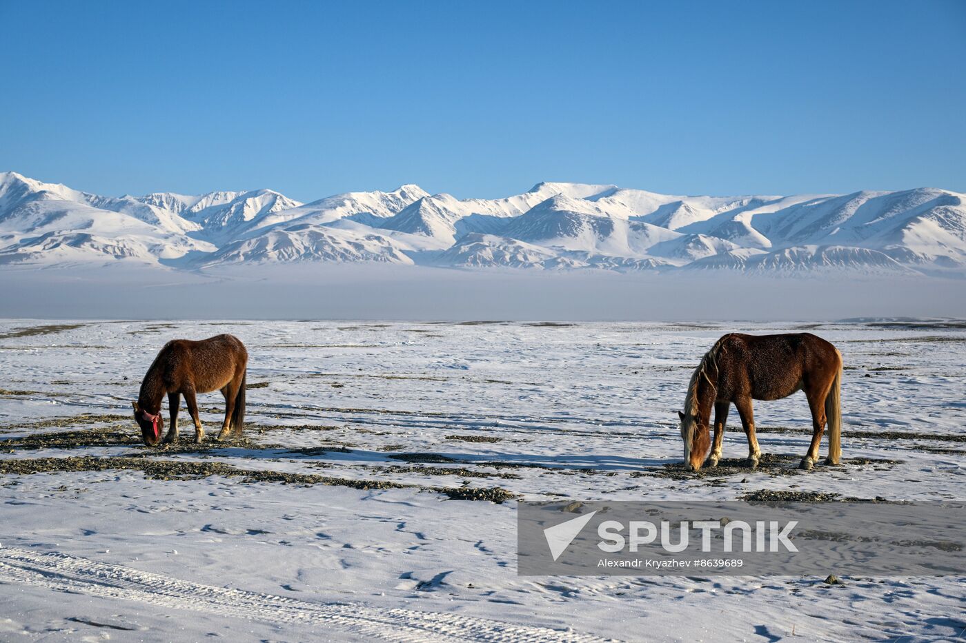 Russia Environment