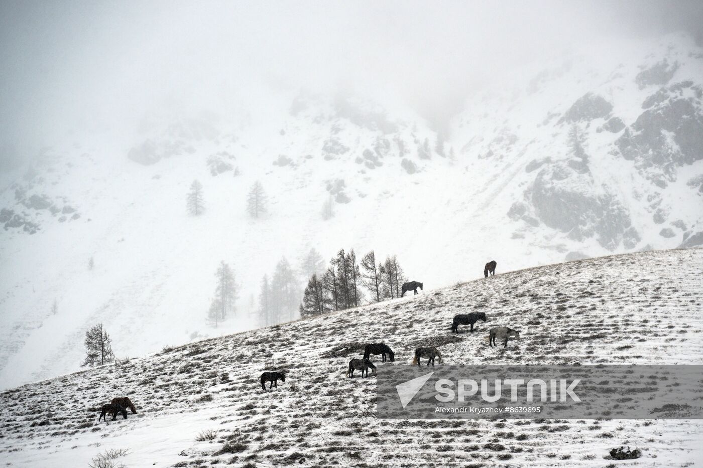 Russia Environment