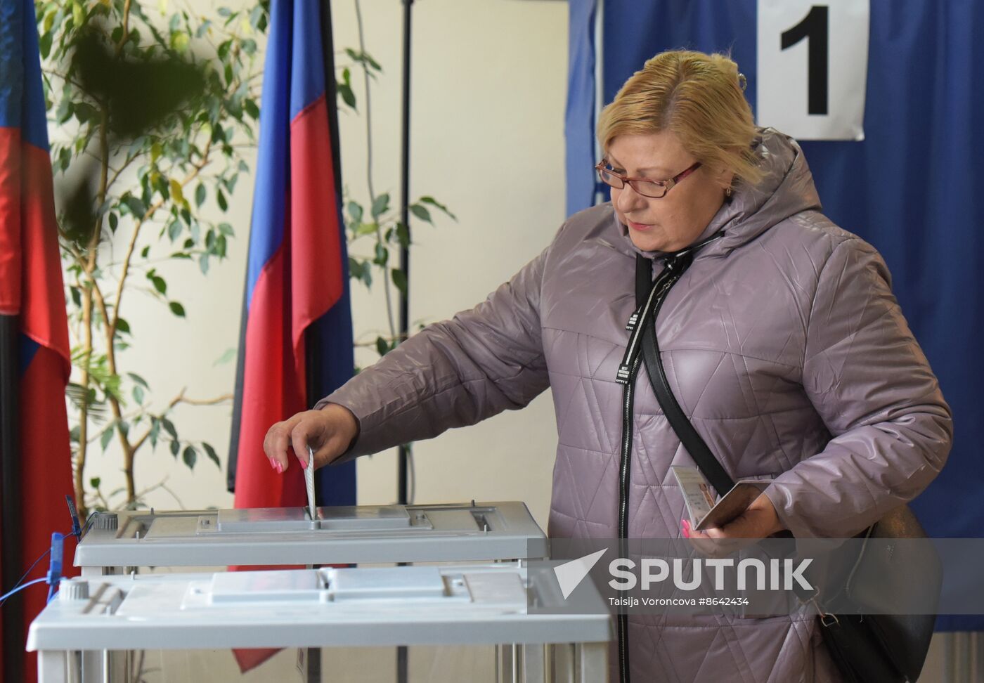 Russia New Regions Presidential Election