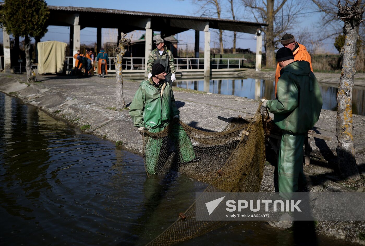 Russia Fishing Industry