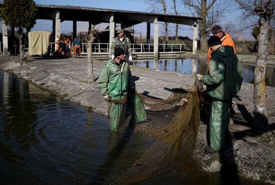 Russia Fishing Industry