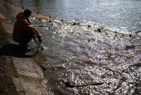 Russia Fishing Industry