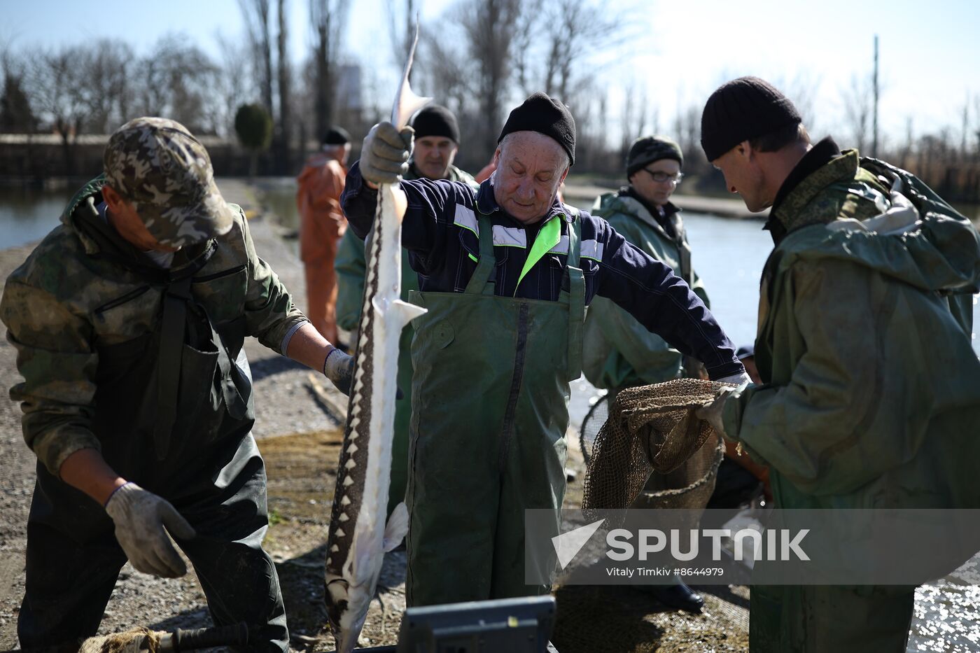 Russia Fishing Industry