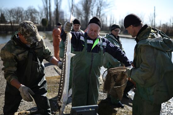 Russia Fishing Industry