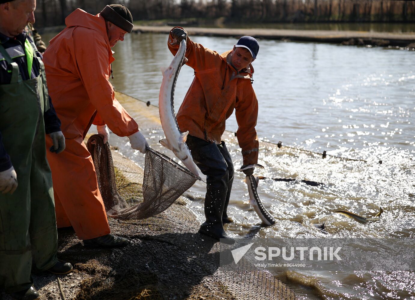 Russia Fishing Industry