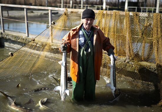 Russia Fishing Industry