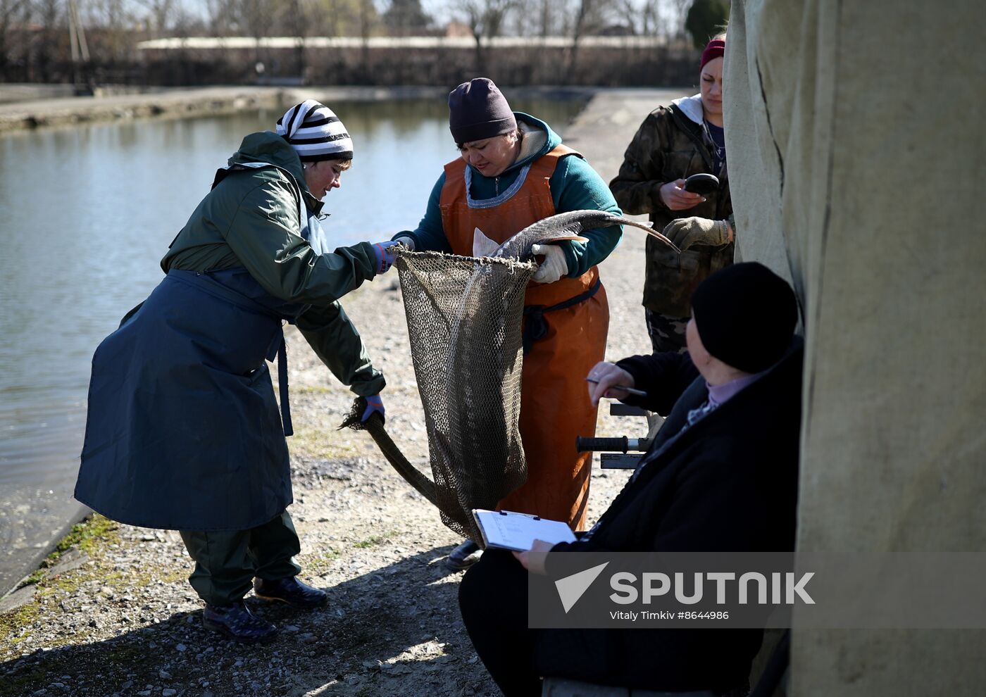 Russia Fishing Industry