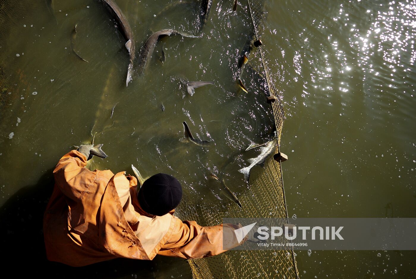 Russia Fishing Industry