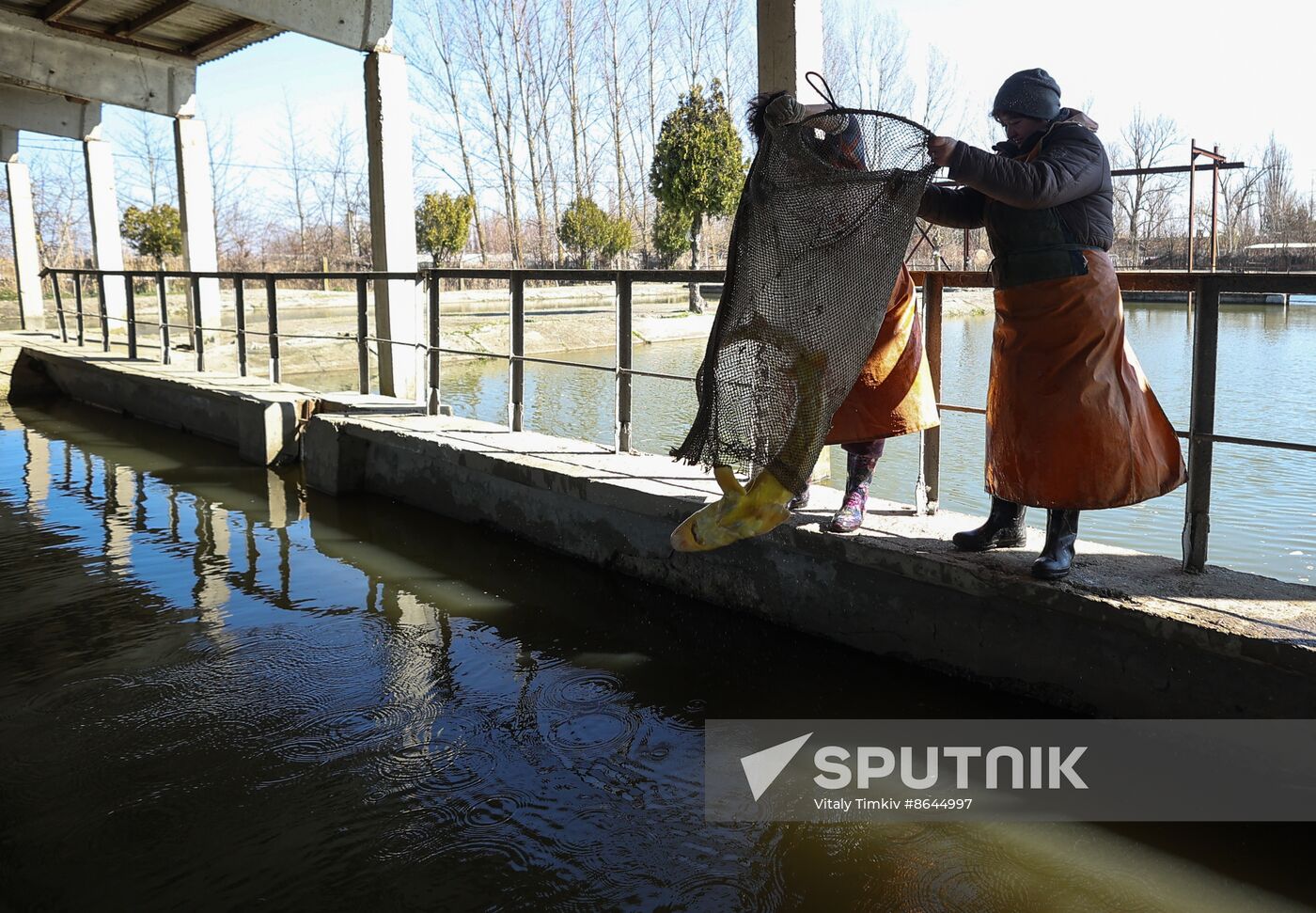 Russia Fishing Industry