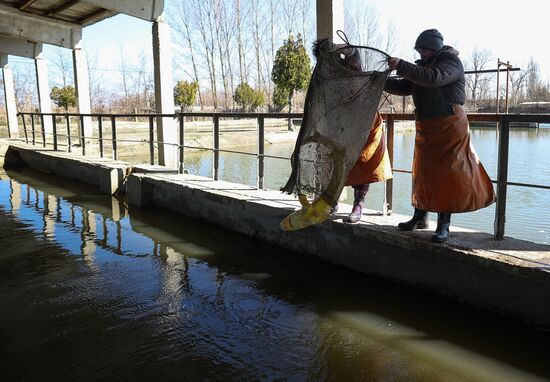 Russia Fishing Industry