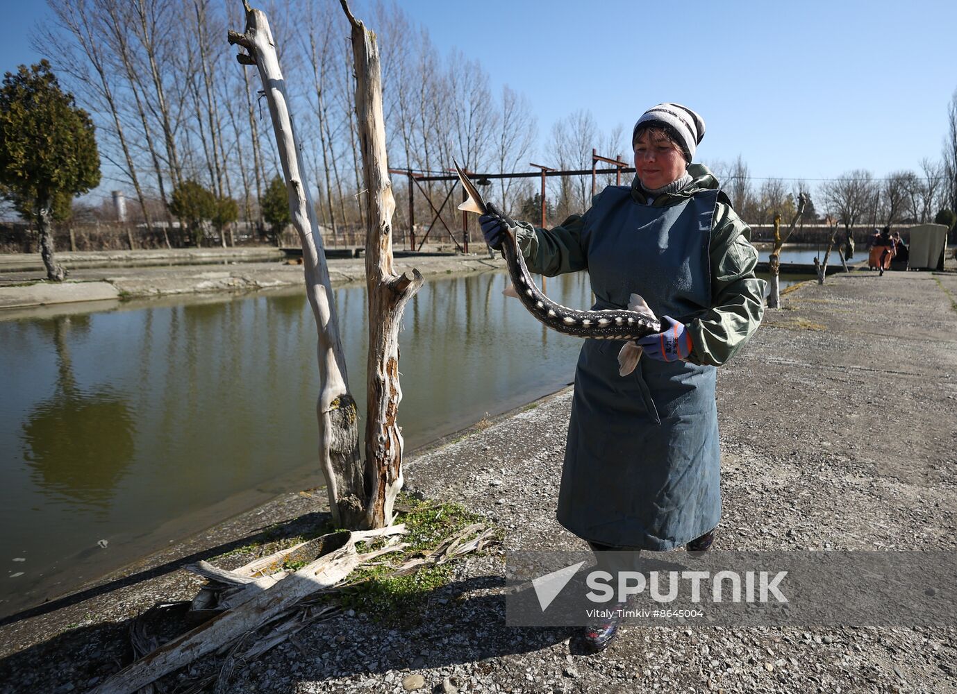 Russia Fishing Industry