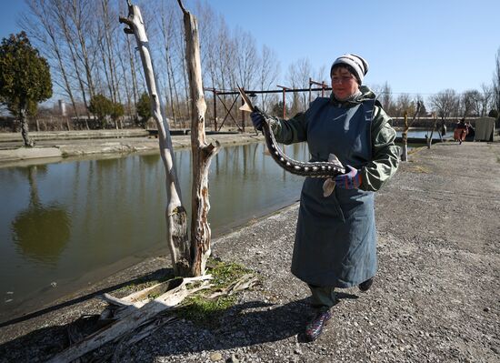 Russia Fishing Industry