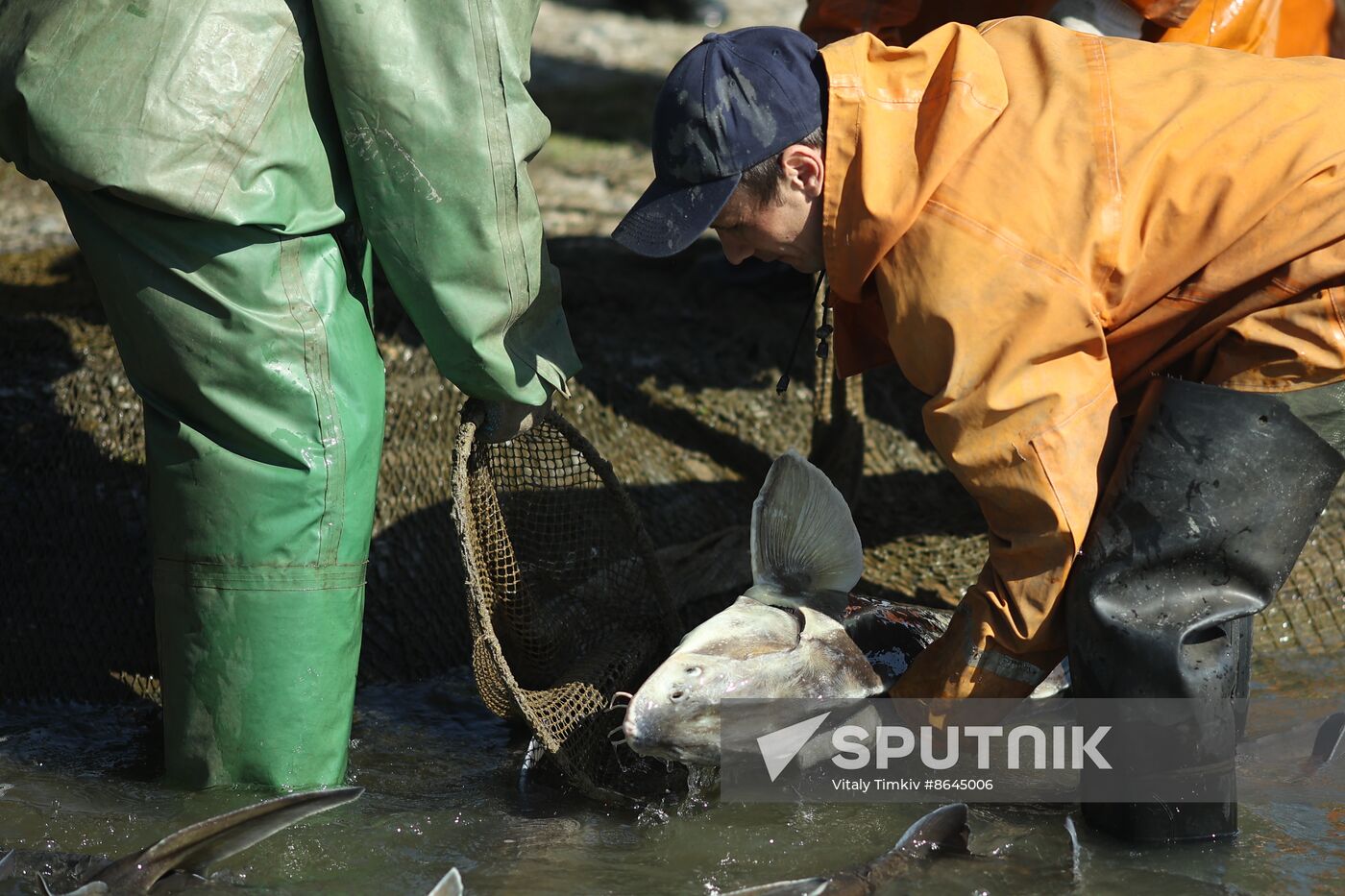 Russia Fishing Industry