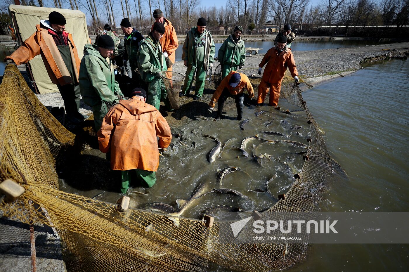 Russia Fishing Industry