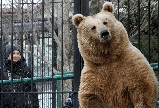 Russia Zoo Bears