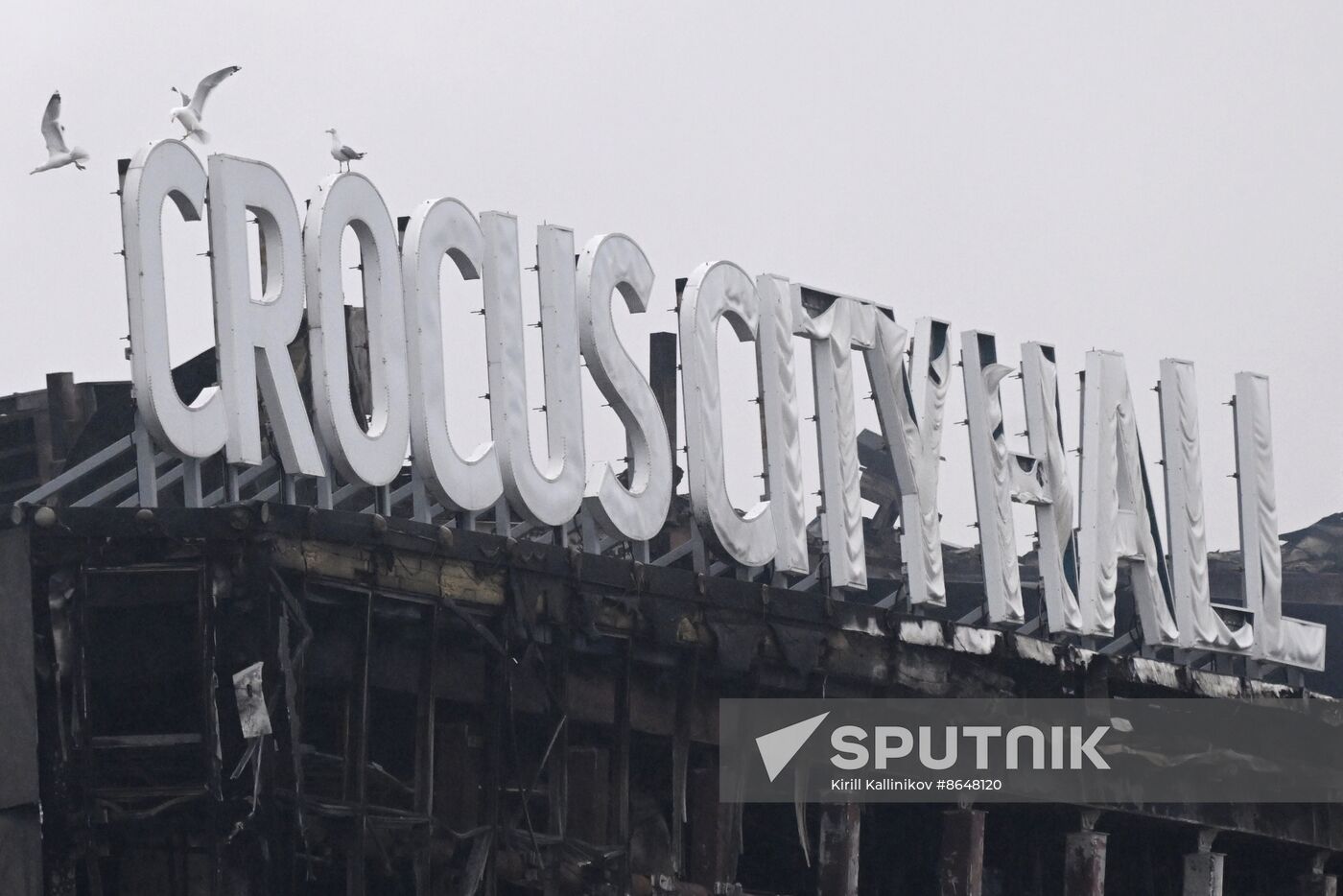 Russia Terrorist Attack Aftermath