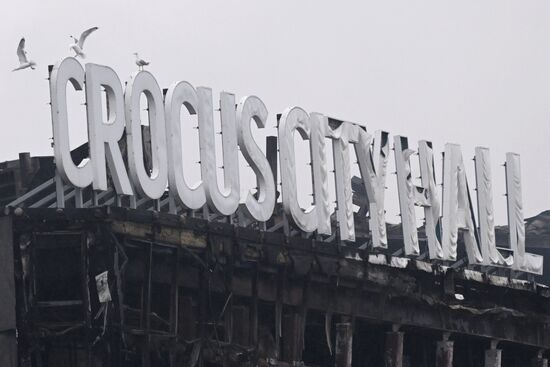 Russia Terrorist Attack Aftermath