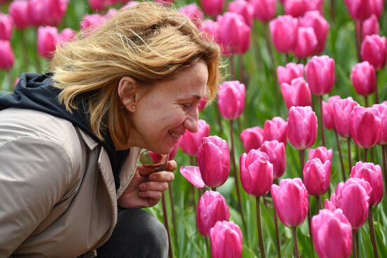 Russia Environment Tulips Exhibition