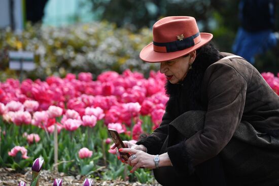 Russia Environment Tulips Exhibition