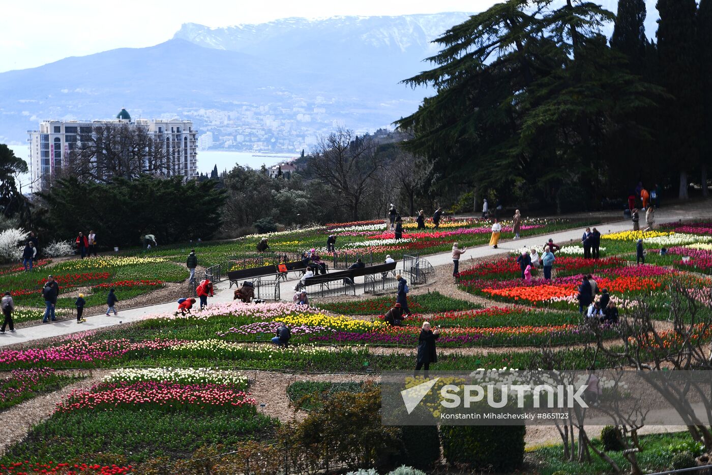 Russia Environment Tulips Exhibition