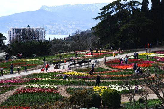 Russia Environment Tulips Exhibition