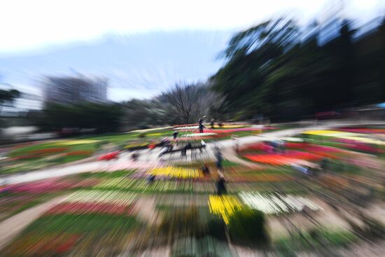 Russia Environment Tulips Exhibition