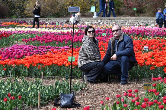 Russia Environment Tulips Exhibition
