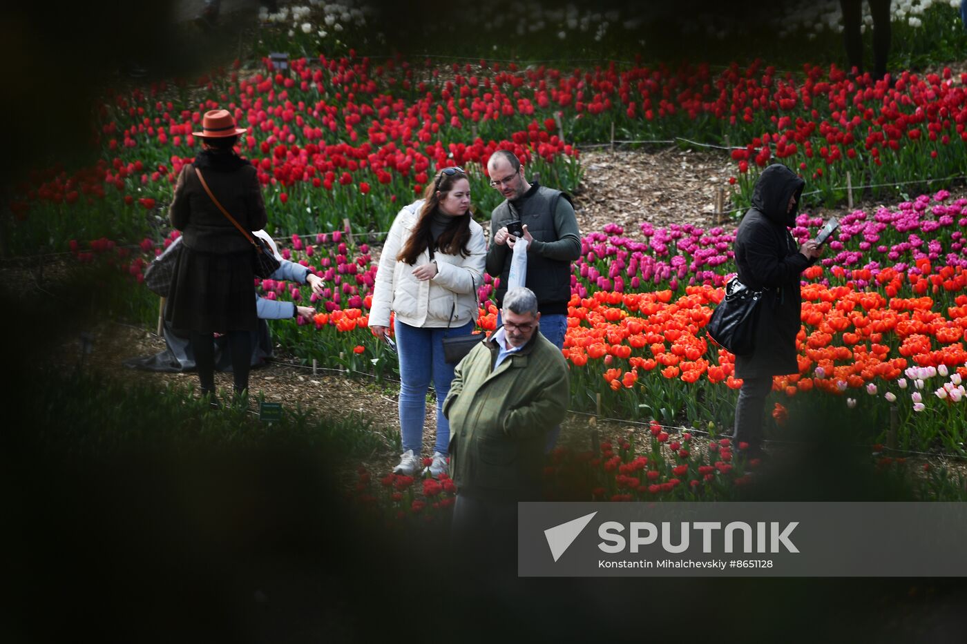 Russia Environment Tulips Exhibition