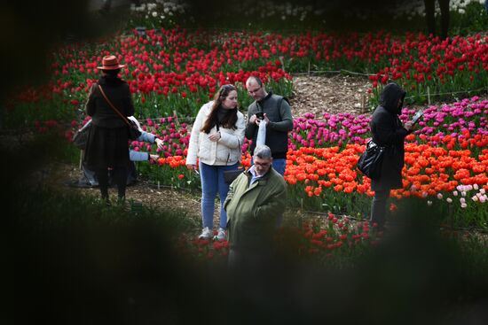 Russia Environment Tulips Exhibition