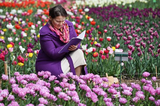 Russia Environment Tulips Exhibition