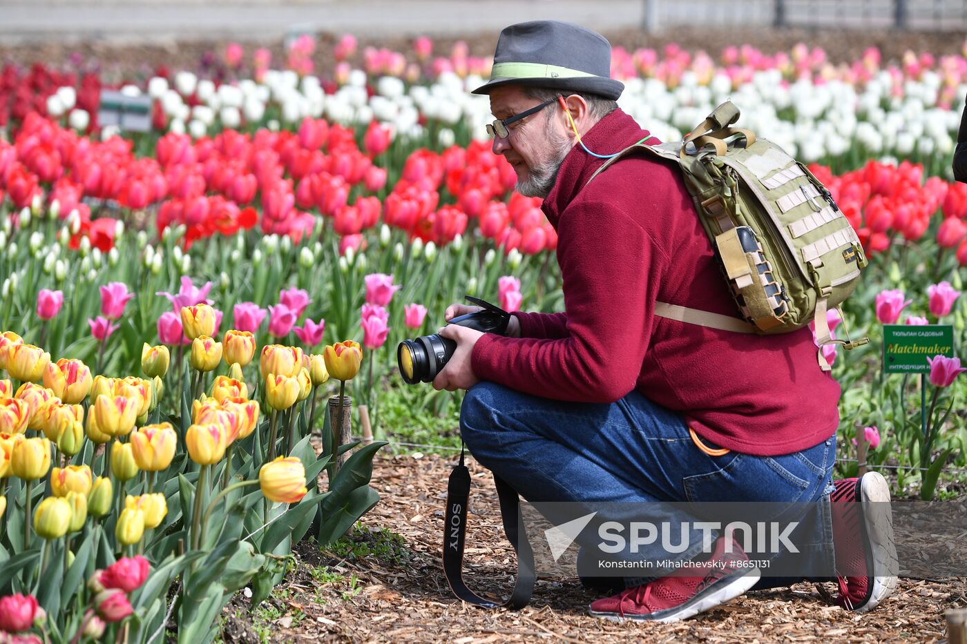 Russia Environment Tulips Exhibition