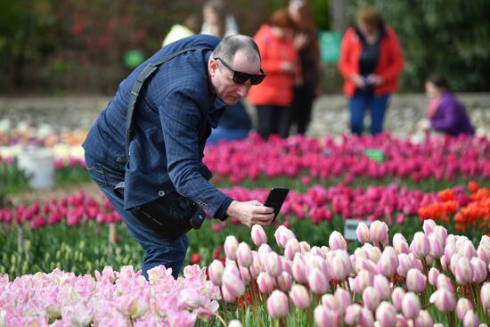 Russia Environment Tulips Exhibition