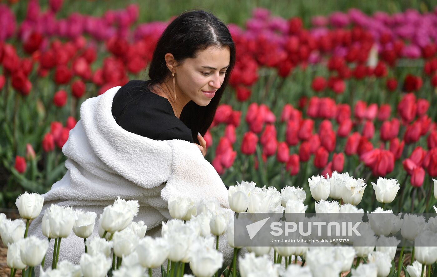 Russia Environment Tulips Exhibition